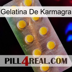 Karmagra Jelly new11